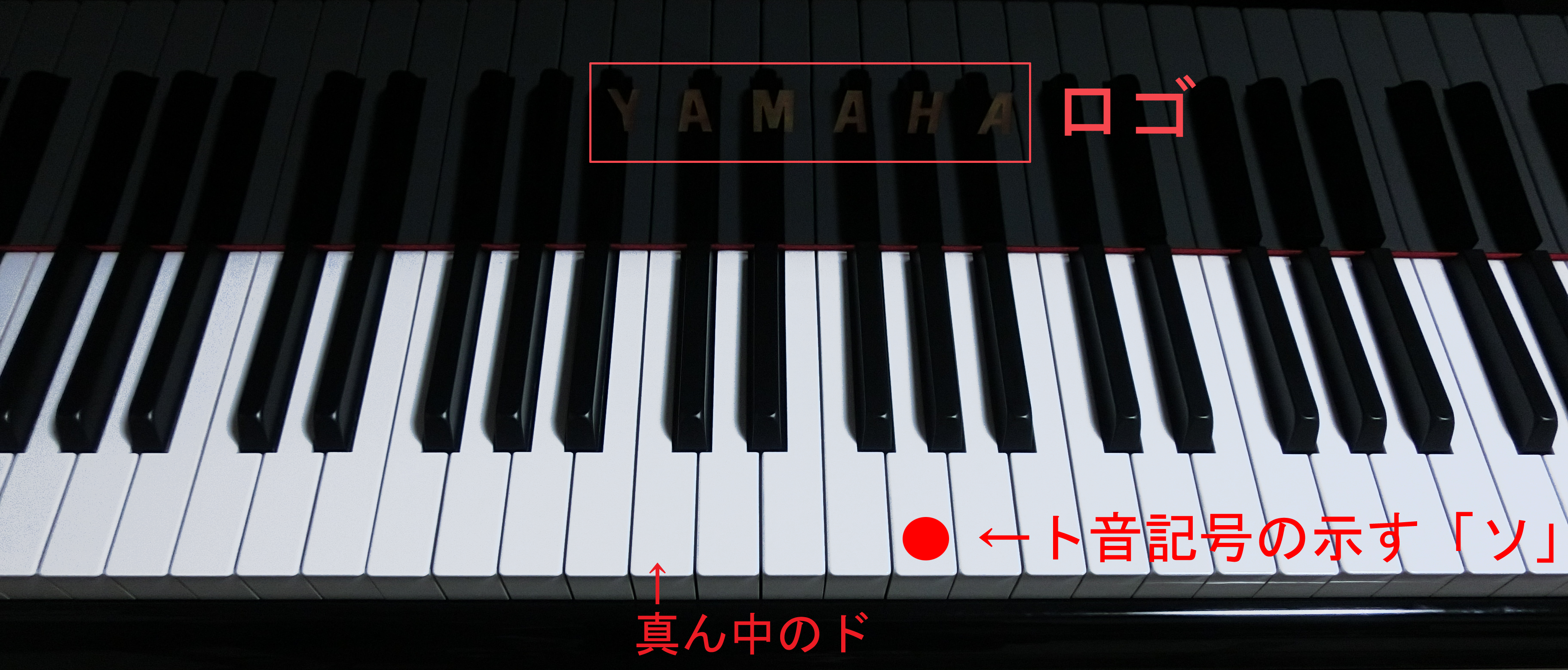 ト音記号やヘ音記号とは何 その意味や由来は やまもりのくま ピアノの先生が教えるピアノ上達の指南サイト