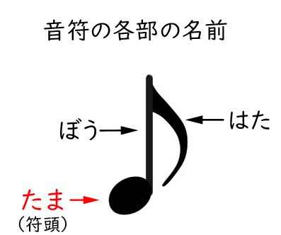 音の高さの基本的な読み方 やまもりのくま ピアノの先生が教えるピアノ上達の指南サイト