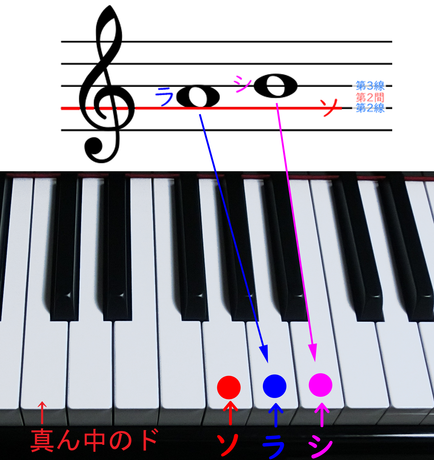 ト音記号の音と鍵盤